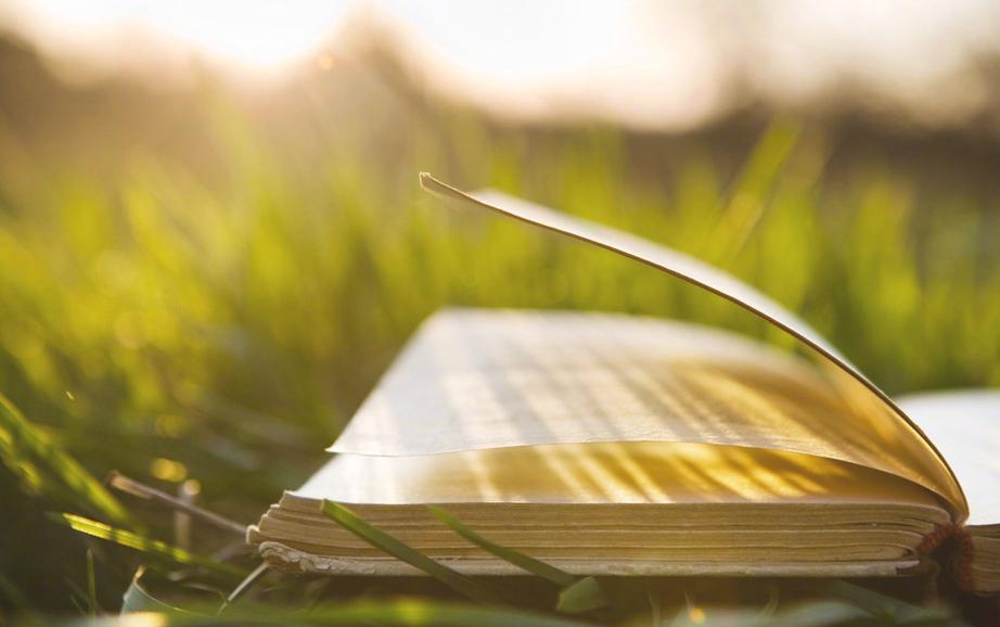 知网查重系统会查出来百度里的内容吗