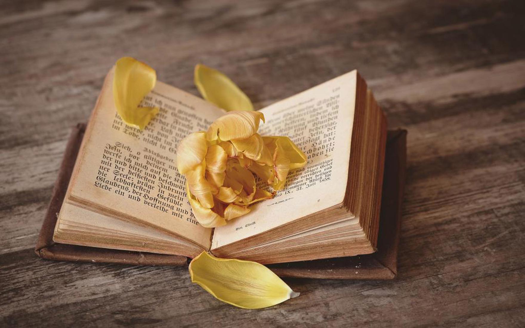 论文抄袭检测软件能否检测出图片的重复率