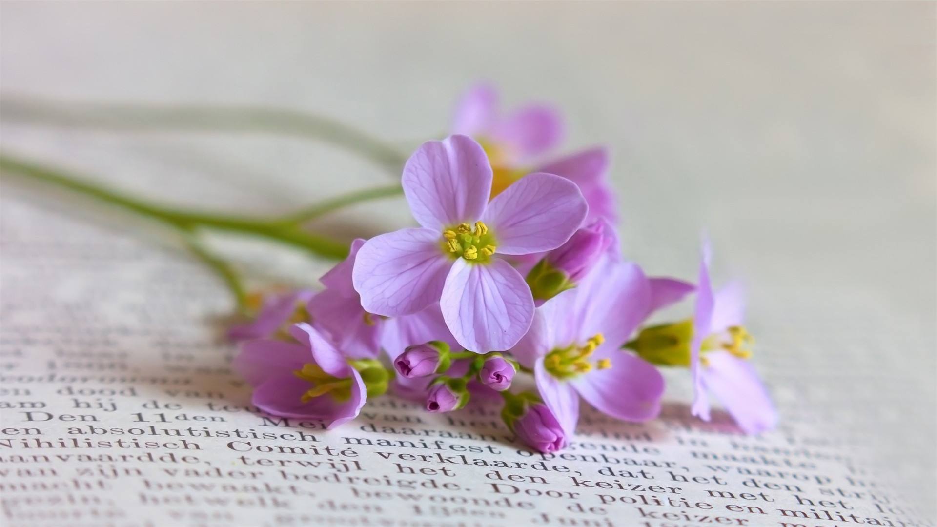 论文查重流程与原理