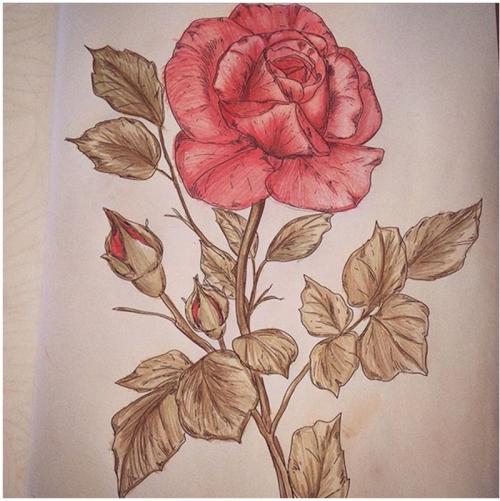 知网查重有哪些分类系统?