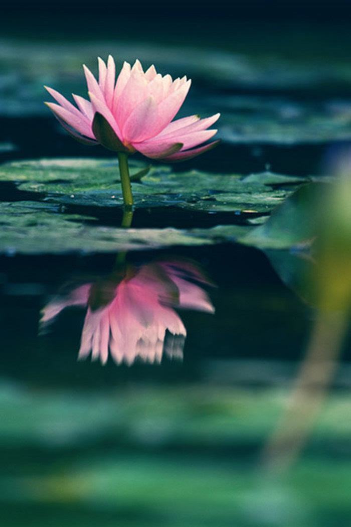 大学生论文联合比对库是什么？