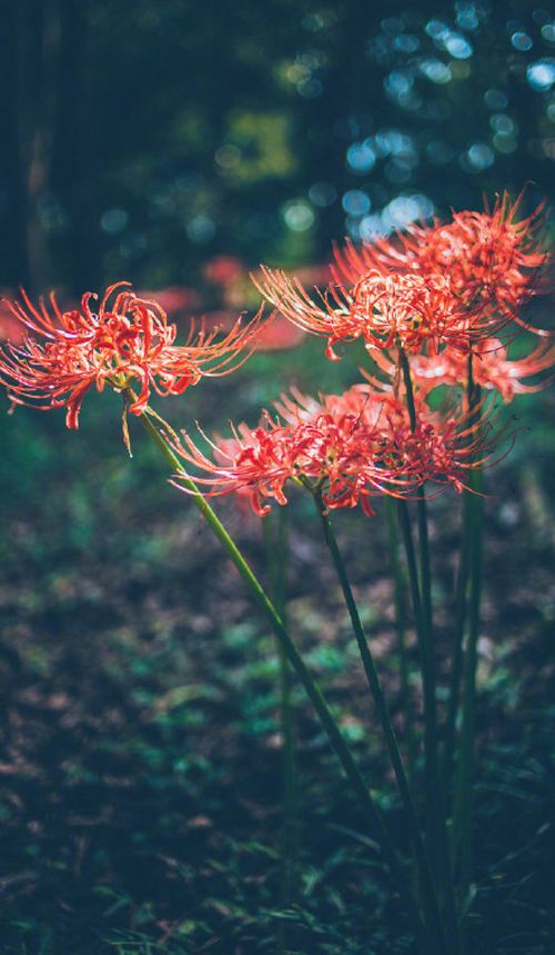 我们要怎么样写好一篇论文